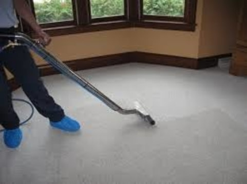 carpet cleaning guy working